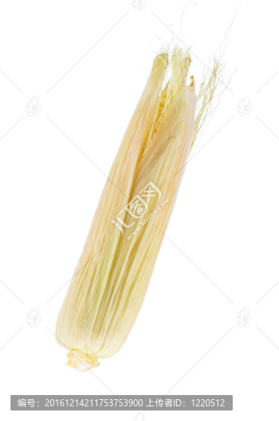 新鮮的玉米