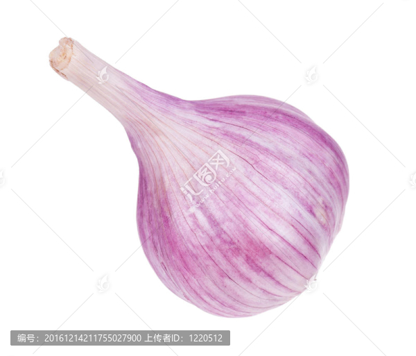 新鮮大蒜
