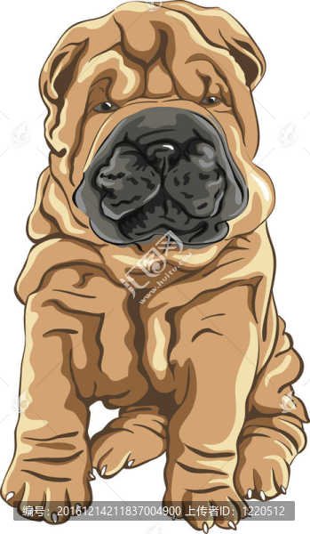 可愛的紅色沙皮犬幼犬的微笑