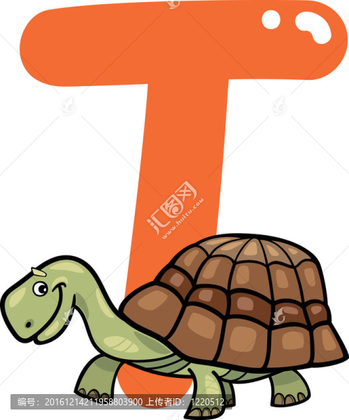 T龜