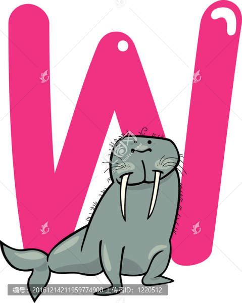 W的海象