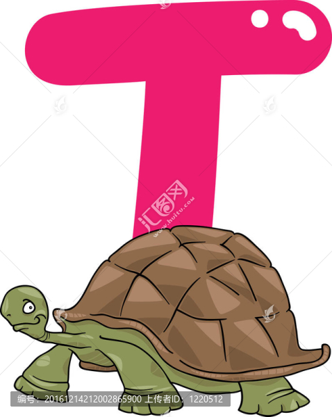 T龜