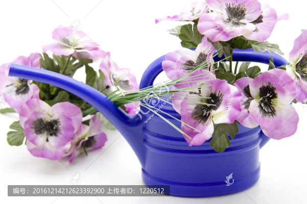 澆花機