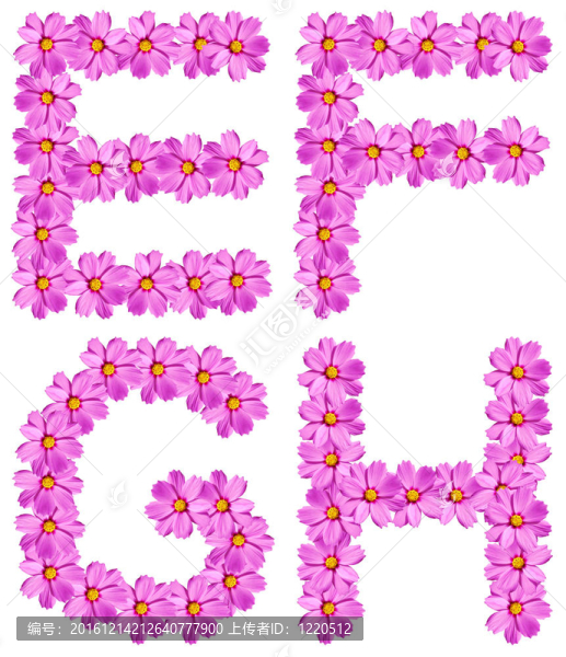 字母花字母孤立