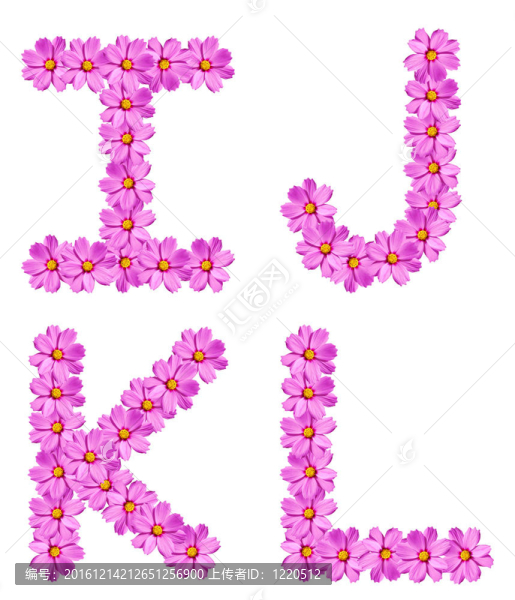 字母花字母孤立