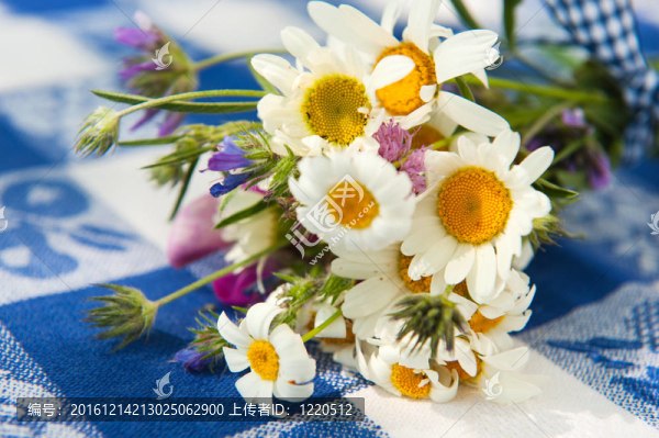 野生的花束