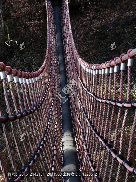 搖擺橋