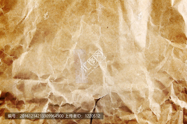 布朗的論文