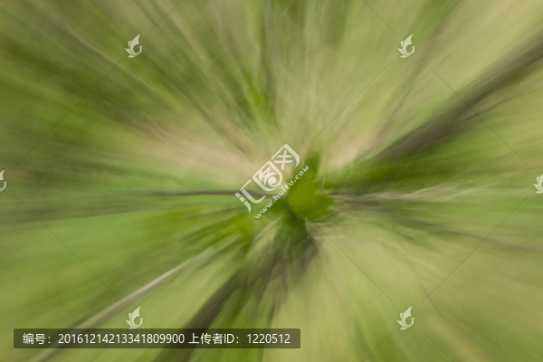 葉長變焦
