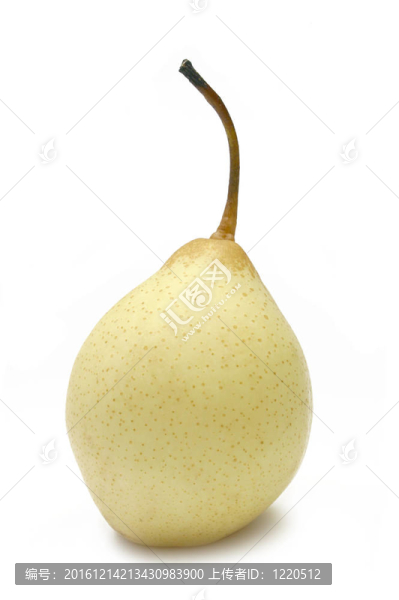 中國鴨梨
