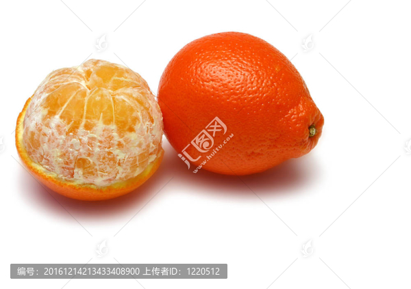 橘柚
