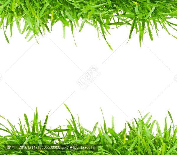 清新春綠草