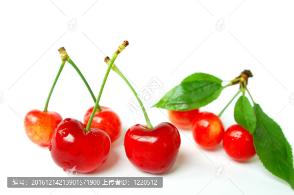 櫻桃果實