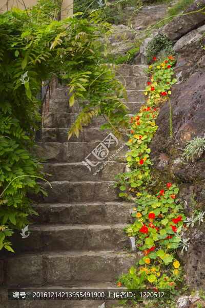 花園里的古老石階