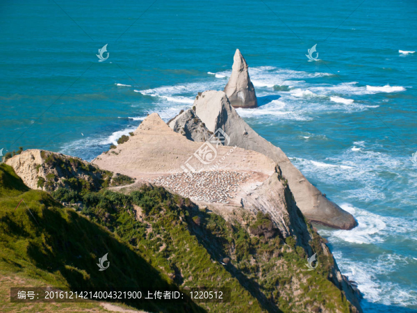 綁匪海角