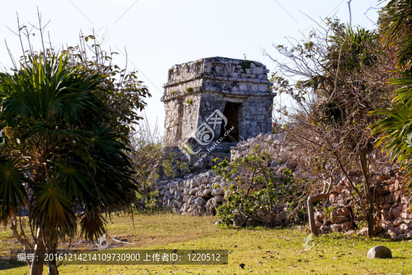 在圖盧姆一個(gè)公園的瑪雅遺址