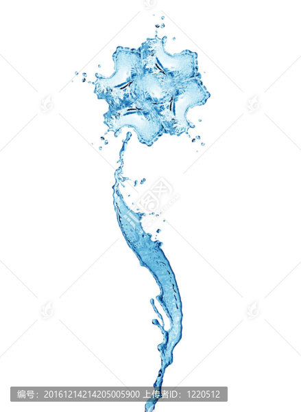 水的花