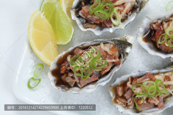 牡蠣基爾帕特里克特寫