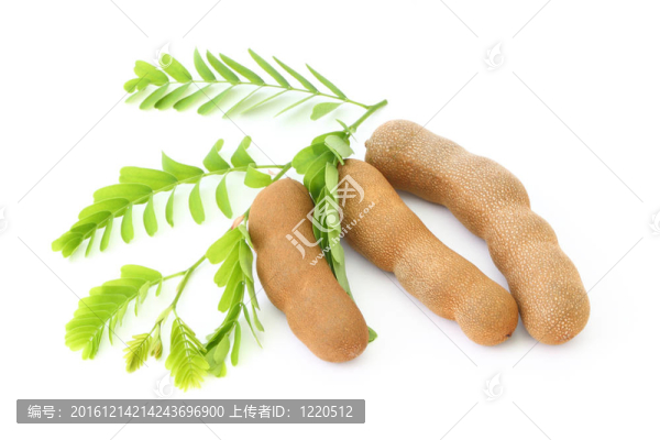 在前面的葉三角。