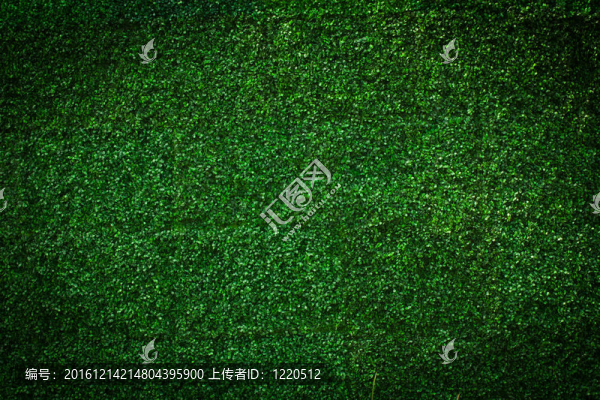 人工草葉背景