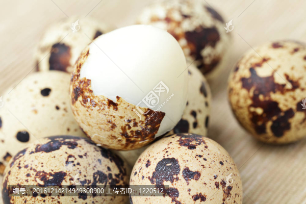 鵪鶉蛋