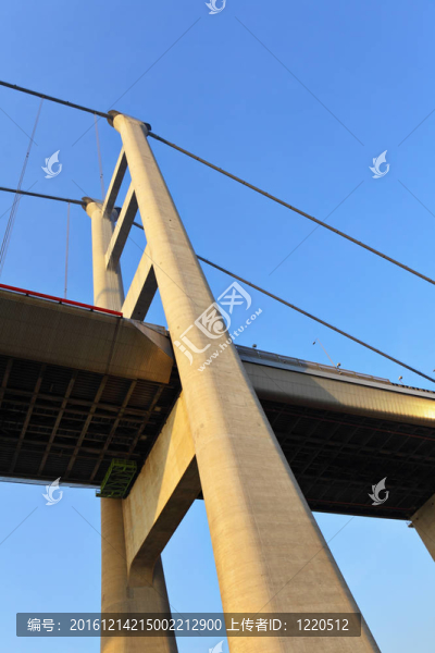青馬大橋