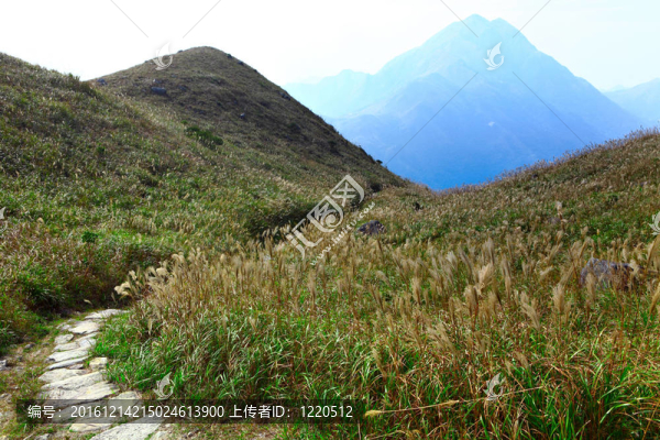 山間小道