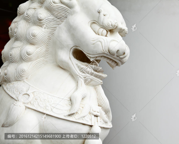 中國(guó)獅雕像特寫