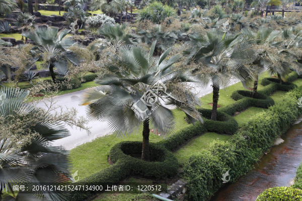 nongnooch熱帶植物園