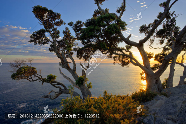 日出在TE削點(diǎn)