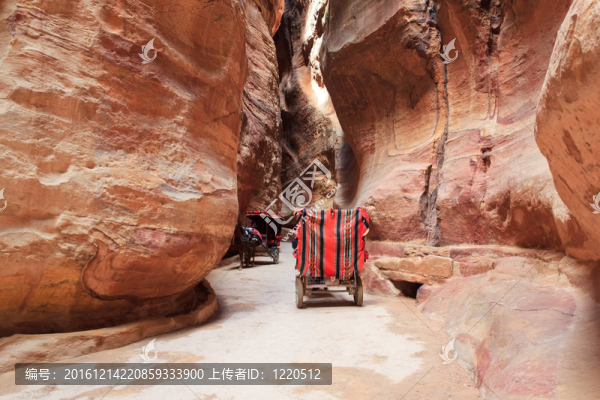 馬車在西克峽谷；Petra；Jordan。