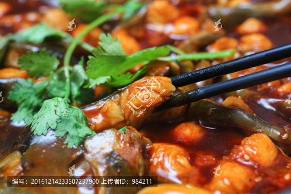 鯰魚燜鍋