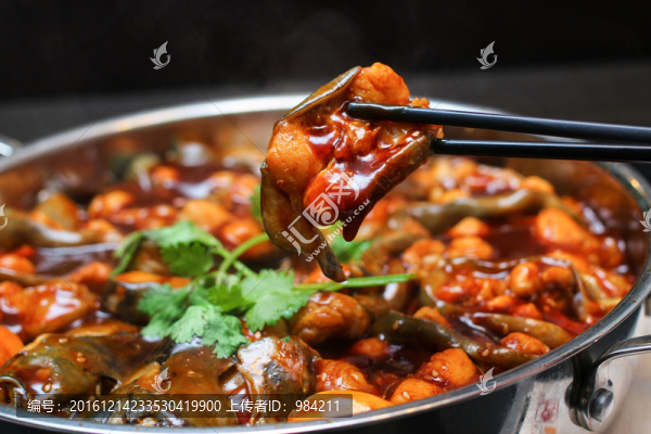 鯰魚燜鍋