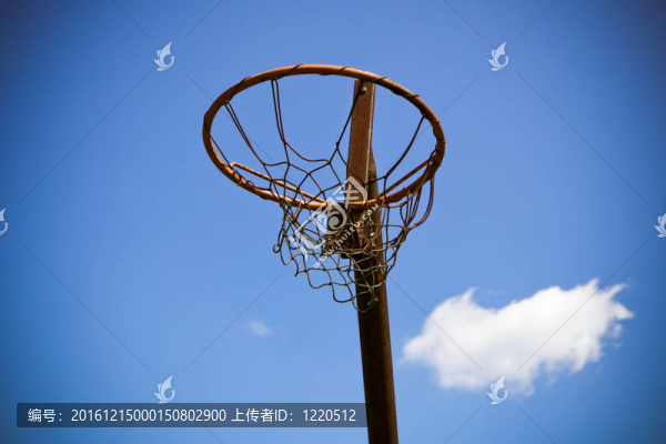 籃球