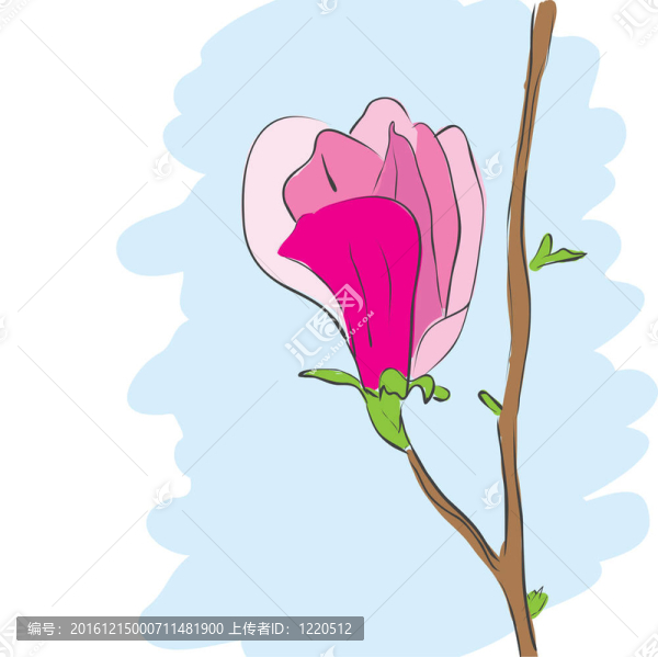 馬格諾利亞粉紅花