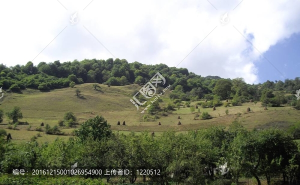 高加索山脈