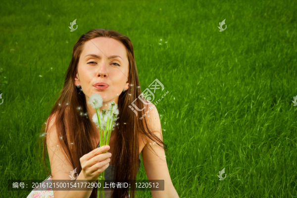 女孩與蒲公英