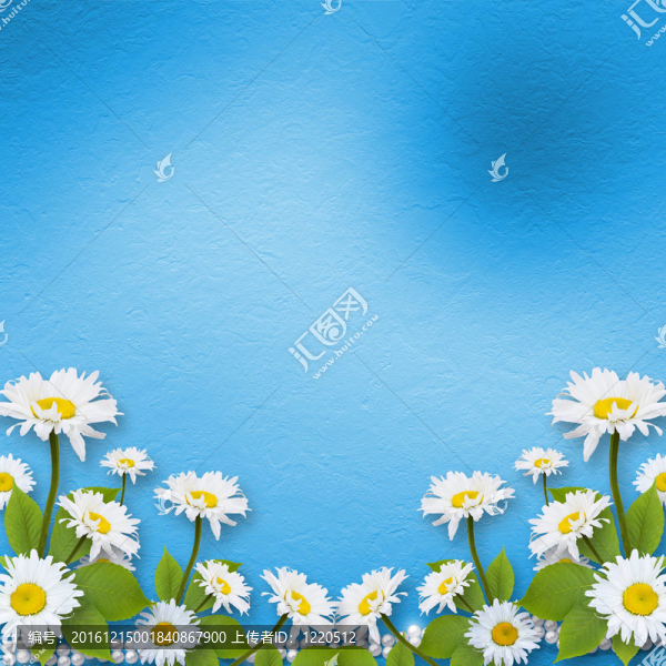 邀請或祝福鮮花卡