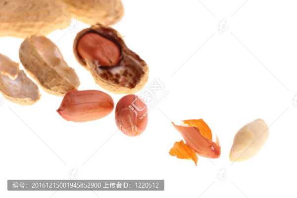 白隔花生