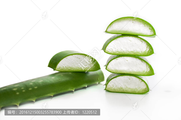 葉蘆薈