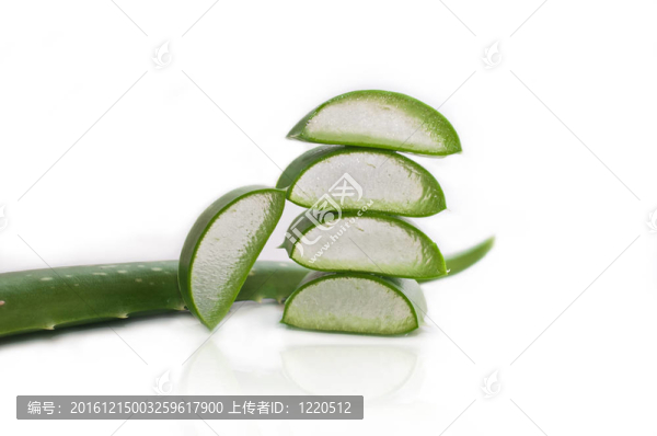 葉蘆薈