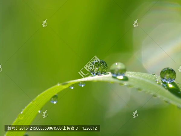 水滴