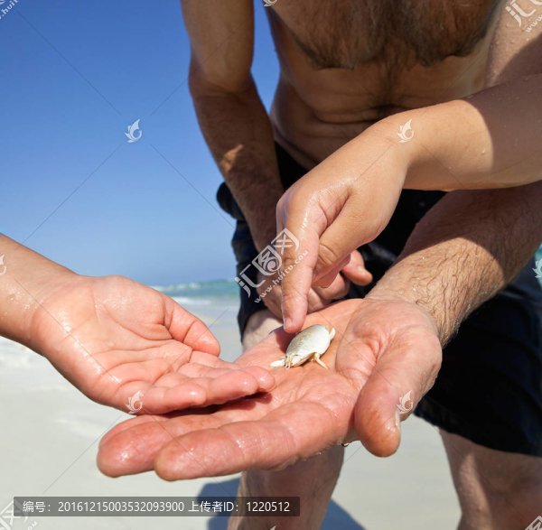 捕捉沙蚤（Mole,Crab）為誘餌在海灘上