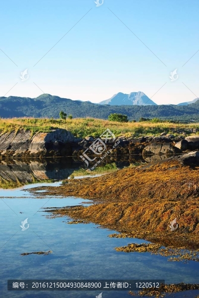 北大西洋島嶼