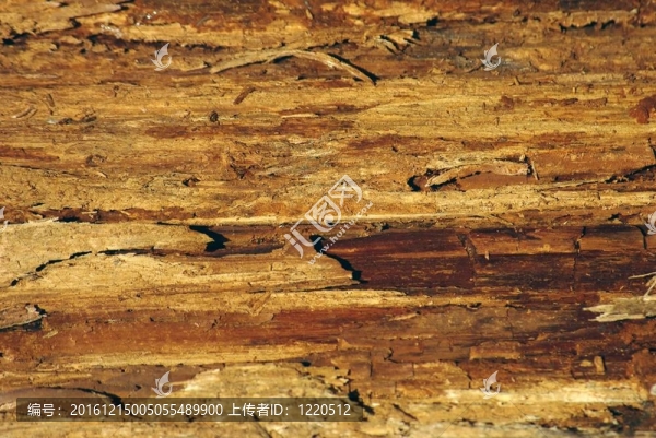 Touchwood的背景
