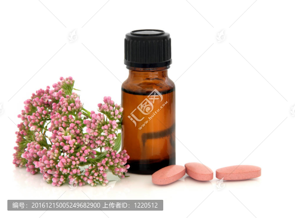 纈草草藥療法