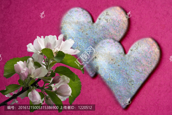 兩個(gè)閃亮的心與蘋果花