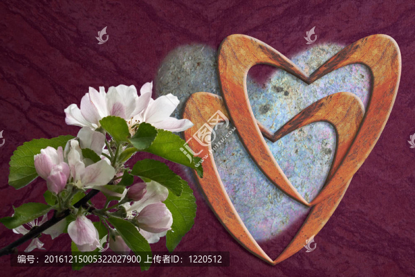 迎春花卡片