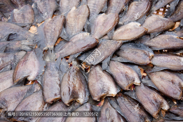 干魚(yú)。