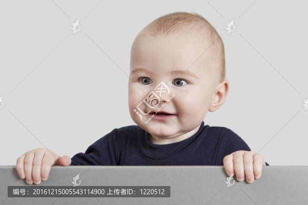 抱子征